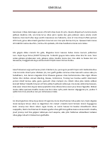 SIMEERAA.pdf
